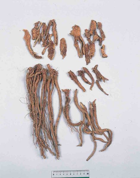 File:Alps:Scutellariae Radix2.jpg