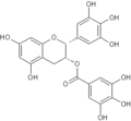 Thumbnail for version as of 14:26, 21 December 2009