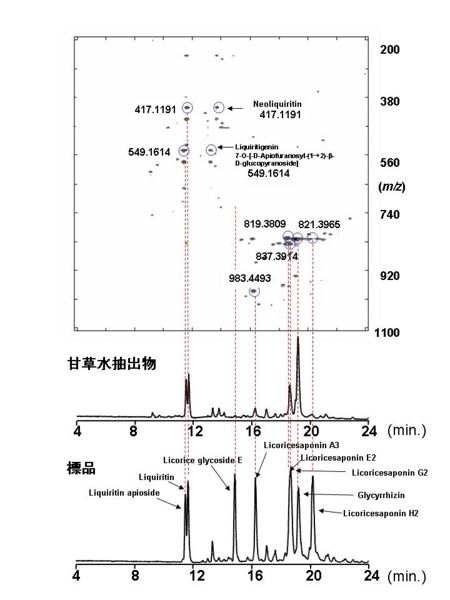 File:Glycyrrhizae Radix LC2.jpg