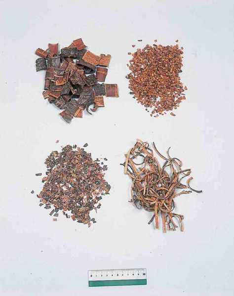 File:Alps:Pruni Cortex.jpg