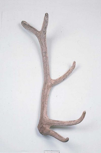 File:Alps:Velvet Horn.jpg
