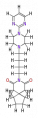 Thumbnail for version as of 20:46, 21 February 2011