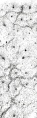 Thumbnail for version as of 12:14, 1 December 2010