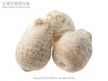 Thumbnail for version as of 09:58, 7 July 2010