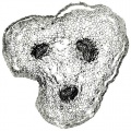 Thumbnail for version as of 12:14, 1 December 2010