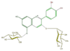 FL7AACGS0006.png