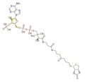 Thumbnail for version as of 16:02, 19 June 2009
