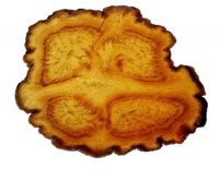 Tochimoto-Ginseng-紅参・四茎根 PICT-Ｊ.jpg