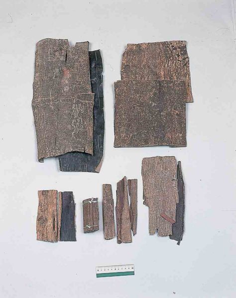 File:Alps:Eucommiae Cortex.jpg