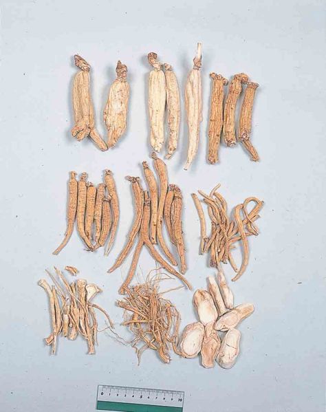 File:Alps:Ginseng Radix.jpg