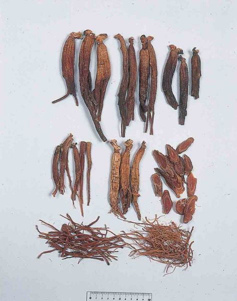 File:Alps:Ginseng Radix Rubra.jpg