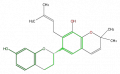 Thumbnail for version as of 17:03, 1 February 2008