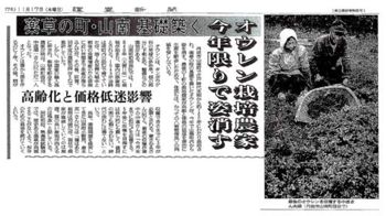 Tochimoto-Coptis-丹波黄連・姿消す（読売新聞） 0001.jpg