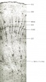 Thumbnail for version as of 16:39, 29 November 2010