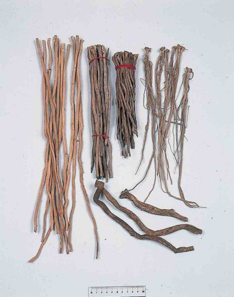 File:Alps:Achyranthis Radix.jpg