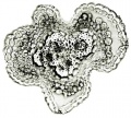 Thumbnail for version as of 12:14, 1 December 2010