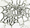 Thumbnail for version as of 22:05, 10 November 2010