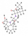 Thumbnail for version as of 20:47, 21 February 2011