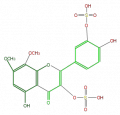 Thumbnail for version as of 17:03, 1 February 2008