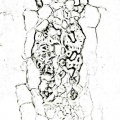 Thumbnail for version as of 12:14, 1 December 2010