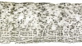Thumbnail for version as of 12:14, 1 December 2010
