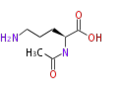 Thumbnail for version as of 16:00, 19 June 2009