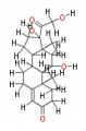 Thumbnail for version as of 20:47, 21 February 2011