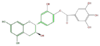 FL63ACNS0014.png