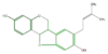 FLID1ANF0002.png