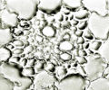 Thumbnail for version as of 22:05, 10 November 2010