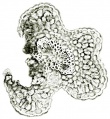 Thumbnail for version as of 12:14, 1 December 2010