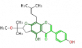 Thumbnail for version as of 17:18, 10 February 2010
