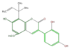 FLIHALNI0003.png