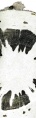 Thumbnail for version as of 14:51, 20 February 2011
