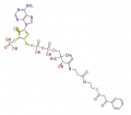 Thumbnail for version as of 15:31, 17 June 2010