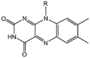 BMCCPTFL.png