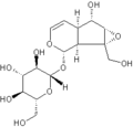 Thumbnail for version as of 09:49, 11 December 2009