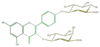 FL5FAAGA0012.png