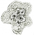 Thumbnail for version as of 12:14, 1 December 2010