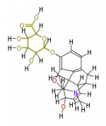 COX00057.png