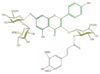 FL5FAAGL0102.png