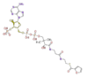 BMMCHC--a013.png