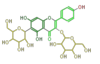 FL5FAADS0001.png