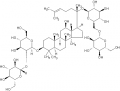 Thumbnail for version as of 09:11, 10 December 2009