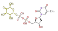 Thumbnail for version as of 16:36, 19 June 2009