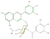 FL7AAGGA0014.png
