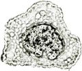 Thumbnail for version as of 12:14, 1 December 2010