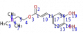 Thumbnail for version as of 20:48, 21 February 2011