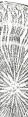 Thumbnail for version as of 12:14, 1 December 2010
