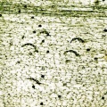 Thumbnail for version as of 12:14, 1 December 2010